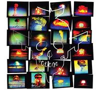 Pete International Airport - Safer With The Wolves