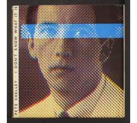 PETE SHELLEY - i don't know what it is / witness the change 45 rpm single