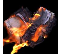 Peter Alexander Jobson Burn the Ration Books of Love (Vinyl LP)