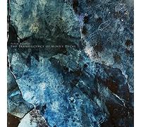 Peter Bjärgö The Translucency of Mind's Decay (Vinyl LP) 12" Album