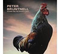 Peter Bruntnell Houdini and the Sucker Punch (CD) Album