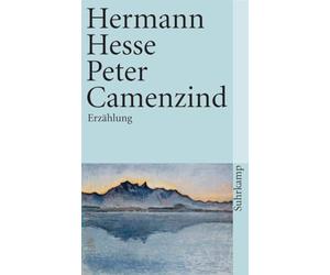 Peter Camenzind: Erzählung: 161