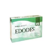 Peter EDODES 16 BUSTINE