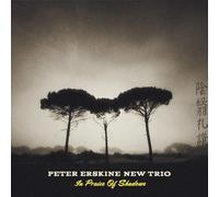 Peter Erskine New Trio In Praise Of Shadows (CD)