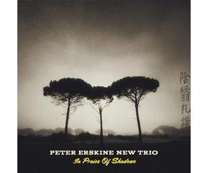 Peter Erskine New Trio In Praise Of Shadows (CD)