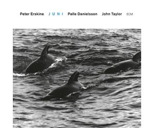 Peter Erskine Trio Juni Album