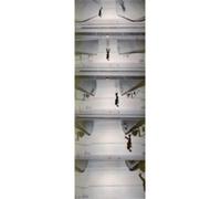 Peter Fischli Addition, Subtraction, Multiplication /anglais: Ausst. Kat. LUMA, Arles u. Pinacoteca Agnelli, Turin