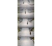 Peter Fischli Addition, Subtraction, Multiplication: Ausst. Kat. LUMA, Arles u. Pinacoteca Agnelli, Turin