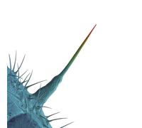 And I'Ll Scratch Yours (Cd)