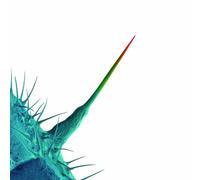 Peter Gabriel - And I'll Scratch Yours