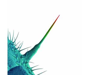 Peter Gabriel - And I'll Scratch Yours