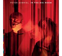 Peter Gabriel - In the Big Room
