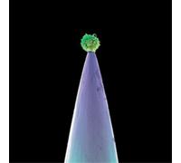 Peter Gabriel New Blood (CD) Album