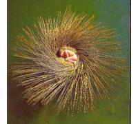 Peter Gabriel Ovo (CD) Album