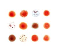 Peter Gabriel Scratch My Back/And I'll Scratch Yours (CD) Album