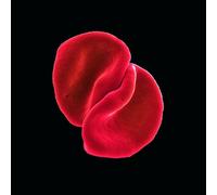 Peter Gabriel Scratch My Back (CD) Album