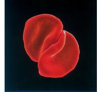 Peter Gabriel - Scratch My Back - Cd (made in the eu)