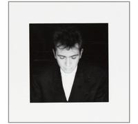 Peter Gabriel - Shakin The Tree
