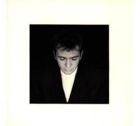 Peter Gabriel Shakin the Tree-Best of (CD)