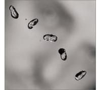Peter Gabriel - Up [Sa