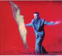 Peter Gabriel Us (CD)