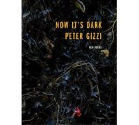 Peter Gizzi Now It's Dark (Tascabile) Wesleyan Poetry Series
