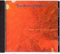 peter hammil - There Goes the Daylight