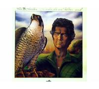 Peter Horton - Lieder, die wie Falken sind