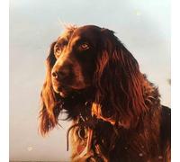 Peter Kernel - Size Of The Night