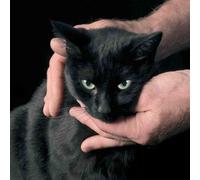 Peter Kernel - White Death Black Heart