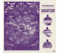 Peter Matthew Bauer - Liberation