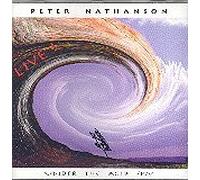 Peter Nathanson - Under the Acid Sky