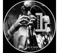 Peter Nice Trio - Harp Of Gold / Son Of David