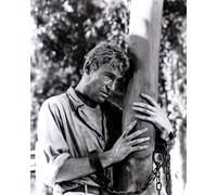 Peter O'Toole [1022161] Foto 8x10 (Altre Dimensioni Disponibili)