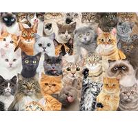 Peter Pauper Press all The Cats 1000 Piece Jigsaw Puzzle