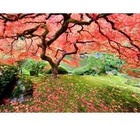 Peter Pauper Press Japanese Maple Tree 1000 Piece Jigsaw Puzzle