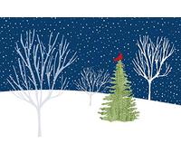 Peter Pauper Press Midnight Cardinal Holiday Cards