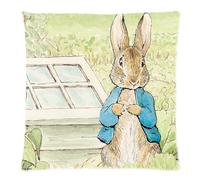 Peter Rabbit Pillowcases Custom Pillow Case Cushion Cover 18 X 18 Inch Two Sides