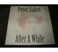 Peter Salett After a While (CD) Album