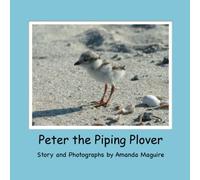 Peter the Piping Plover