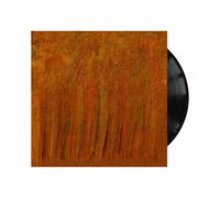 Peter Van Hoesen Towards the Center of Time and Surrounded By Spirits (Vinyl LP)