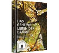 Peter Wohlleben - Das geheime Leben der Bäume - Limited Mediabook (Blu-ray)