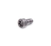 PETERS ENNEPETAL 010.160-00A Vite del volano