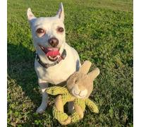 PETIQUE Mini Giocattoli in Canapa Hula - Koala e Coniglio, Corda in Canapa Naturale per Cani Piccoli