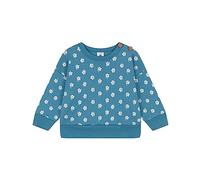 Petit Bateau A08FM, Felpa Bimba 0-24, Blu Polochon/Multicolore, 3 mesi