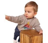 Petit Bateau A08QP, Felpa Bimbo 0-24, Grigio Chaton Chine, 3 anni