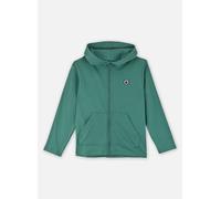 Petit Bateau - Sweatshirt à Capuche Furito Verde - Abbigliamento 6A Verde