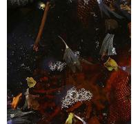 PETIT, PHILIPPE & FRIENDS - ON TOP