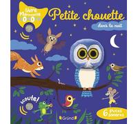 Petite chouette dans la nuit