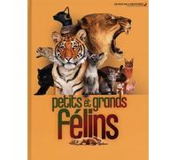 Petits et grands félins